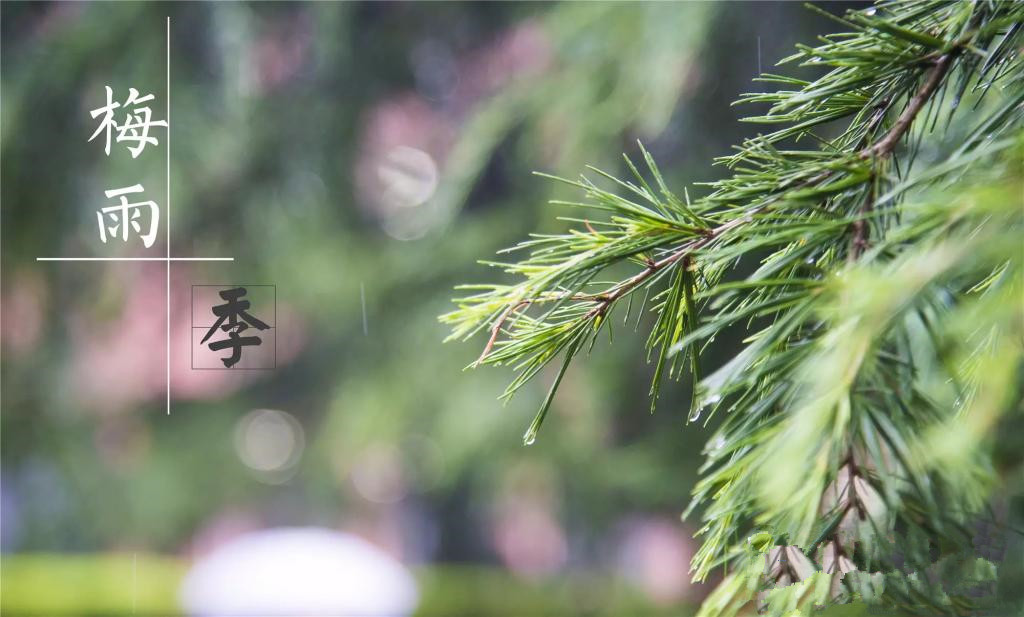 雨季到來，涂料施工需注意哪些問題